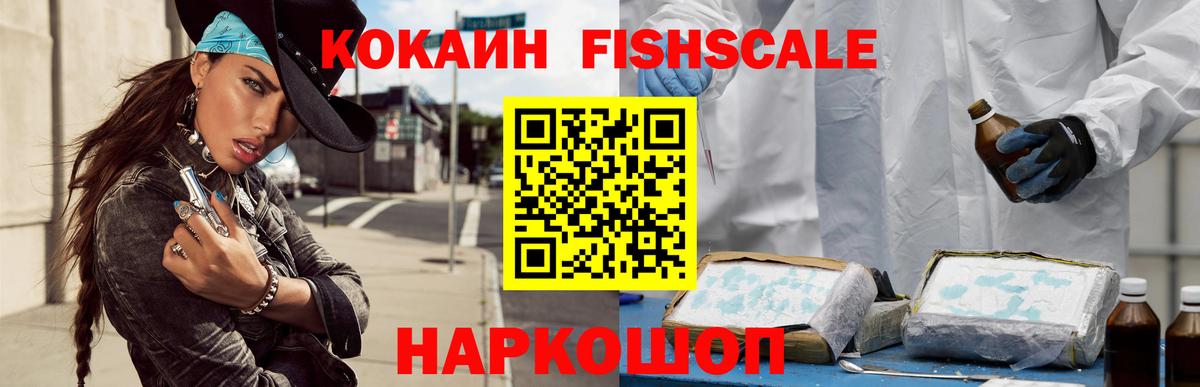 Зеленогорск  COCAIN Fish Scale  Вход с VPN 
