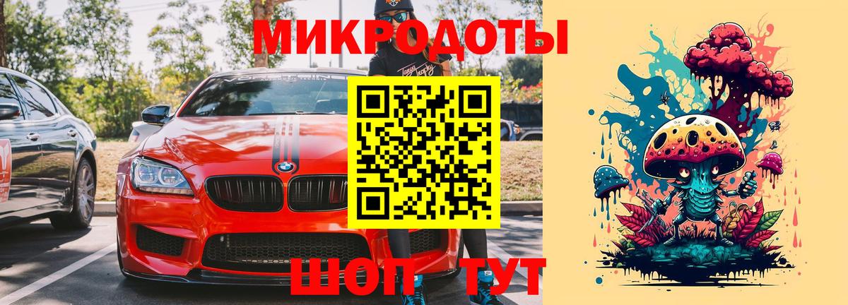 Псилоцибиновые грибы Cubensis Зеленогорск