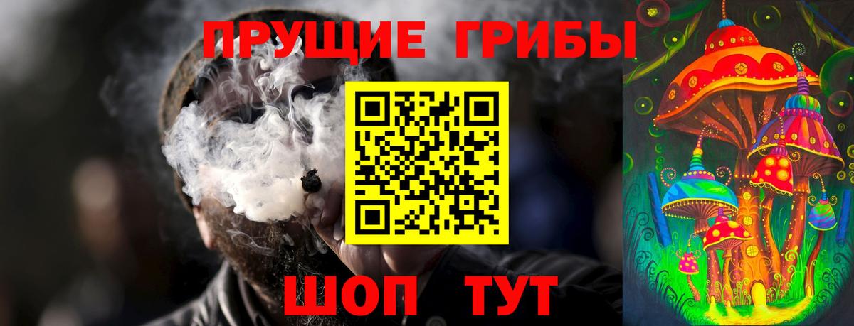 Галлюциногенные грибы Cubensis  Псилоцибиновые грибы MAGIC MUSHROOMS  Зеленогорск  Вход с VPN 